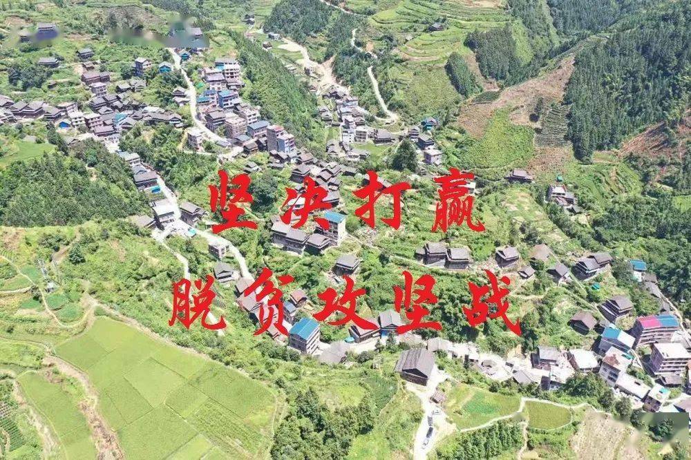 骑马队全队备战下场比赛，决心取得全面胜利的简单介绍