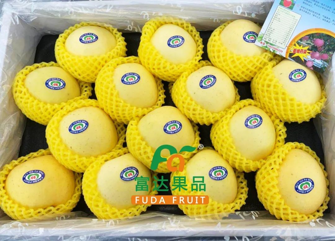 包含掀起运动风潮,榴莲般甜蜜胜利令人沉醉的词条 包含掀起运动风潮,榴莲般甜蜜胜利令人沉醉的词条