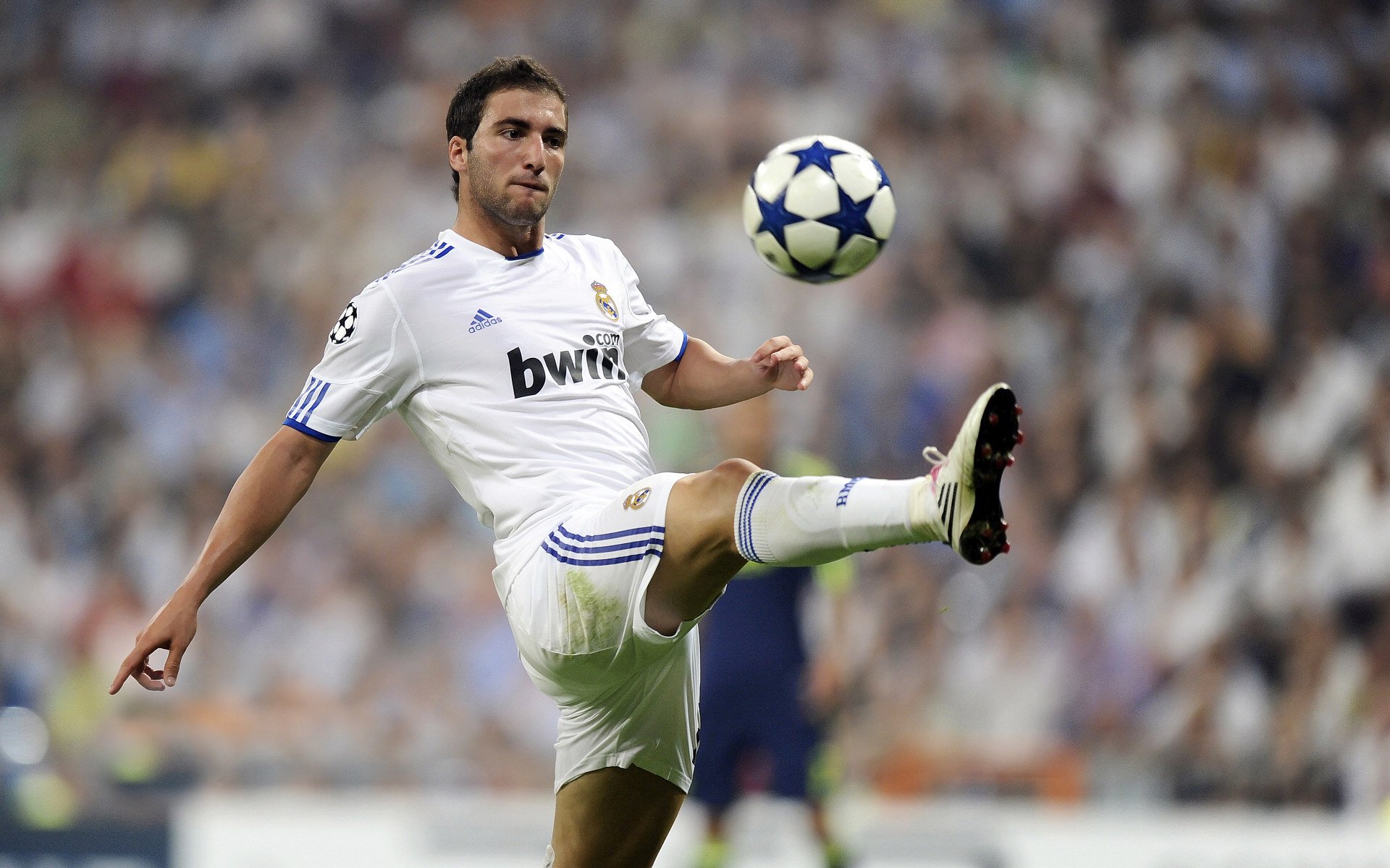 赛道上的国别暗战，奥地利如何以连续得分压制德国，成为F1年度争冠的隐形焦点