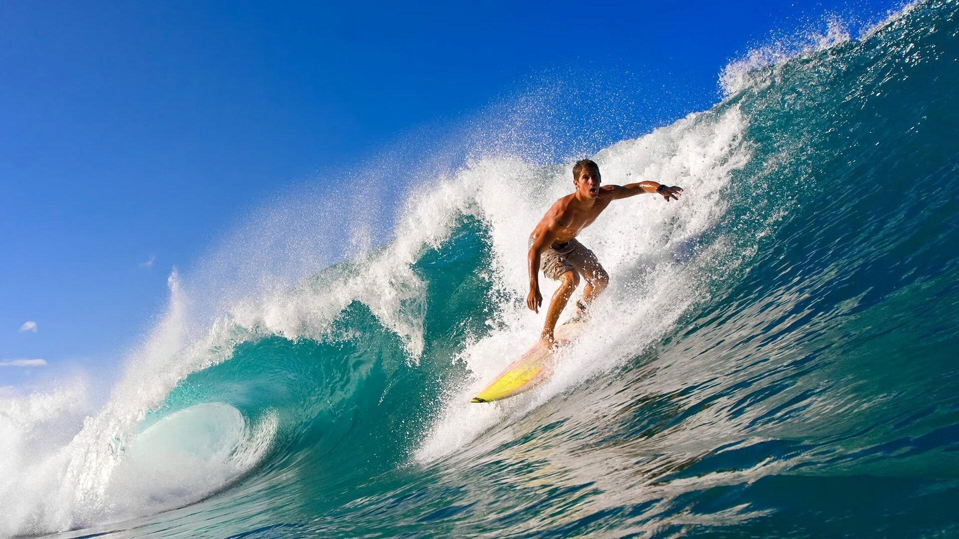 从墨尔本到马德里，穆雷以戴维斯杯险胜诠释何为全队即一人